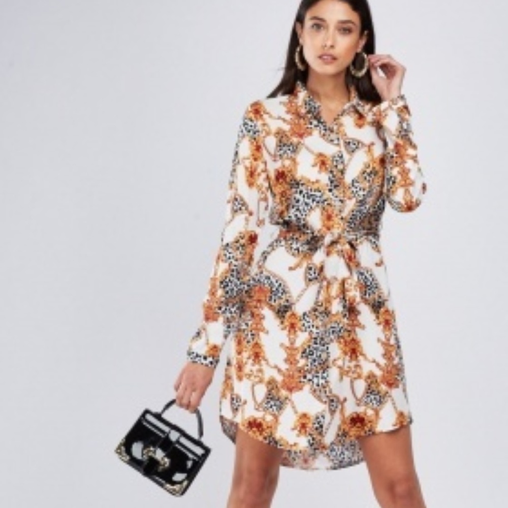 Animal Chain Print Shirt Dress